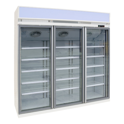 Refroidisseur en verre R290 d'affichage de porte de moteur de fan d'Ebm pour des boissons