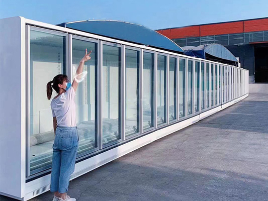 Portée de la porte en verre battante dans le congélateur mural à distance en blanc