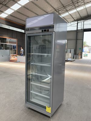 Réfrigérateur commercial de boisson de bouteille avec une porte en verre d'oscillation